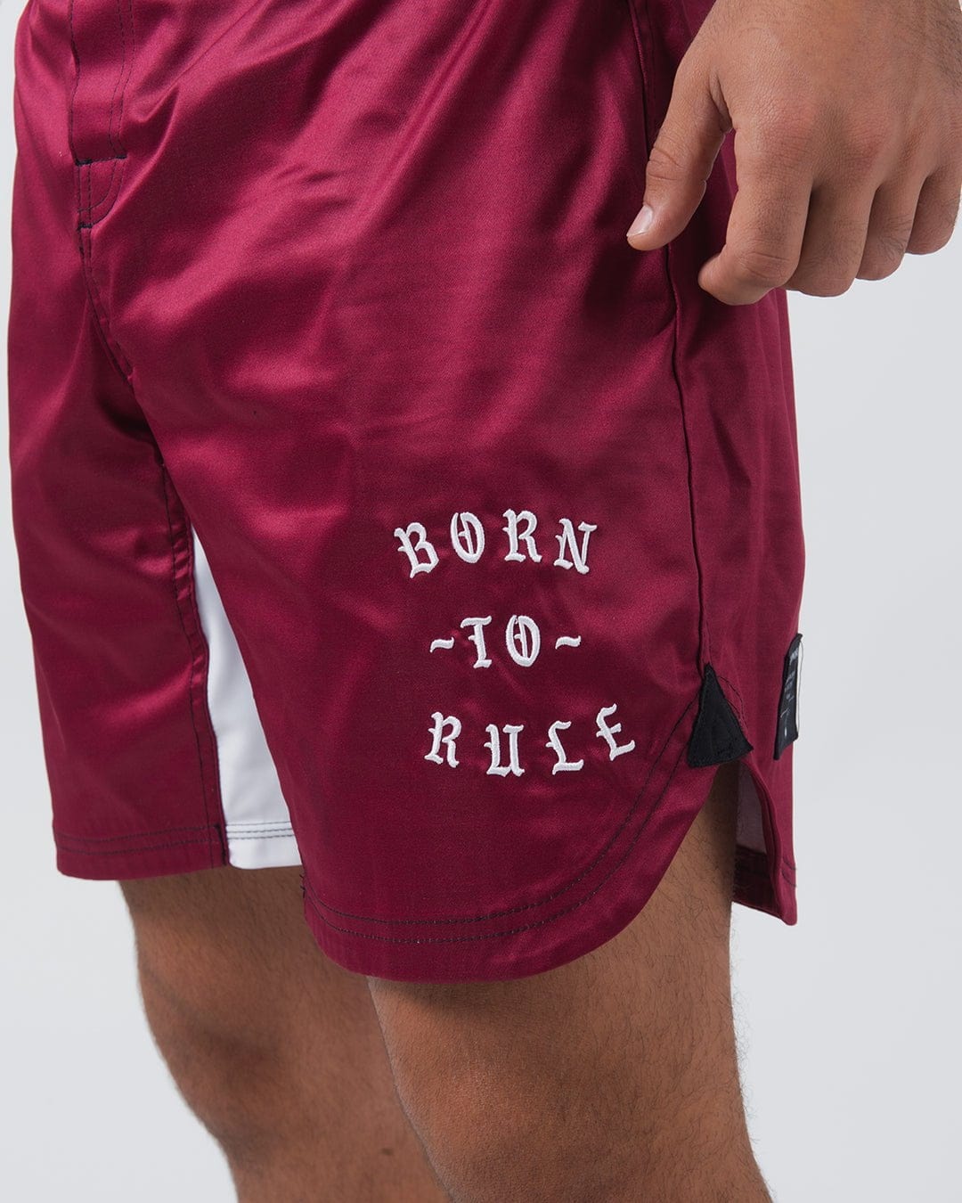 Born To Rule Shorts - Image 19